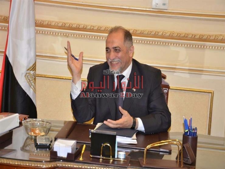 القصبى: جولات الرئيس الخارجية تؤكد على عودة القاهرة للريادة
