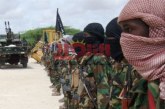 مقتل 60 عنصرا من مليشيات «الشباب» الإرهابية في الصومال